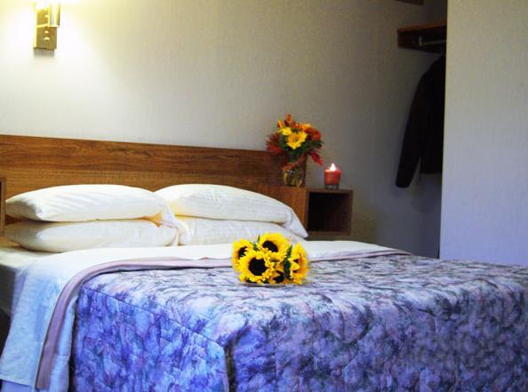 Tall Pines Motel Lake George Rom bilde