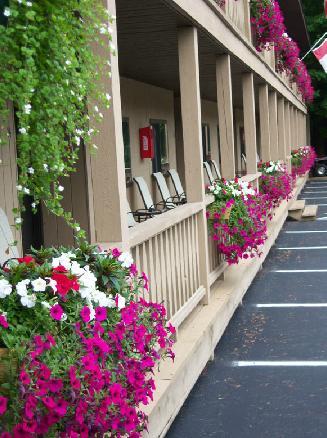 Tall Pines Motel Lake George Eksteriør bilde