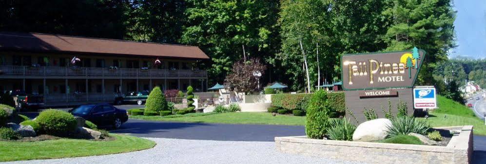 Tall Pines Motel Lake George Eksteriør bilde